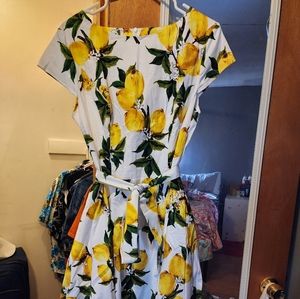 Women's dress 2xl